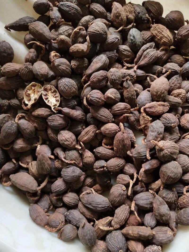 草果，云南草果，香辛料热销品种，有货供应