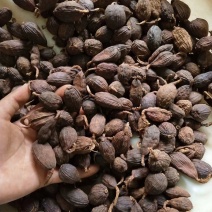 草果，云南草果，香辛料热销品种，有货供应