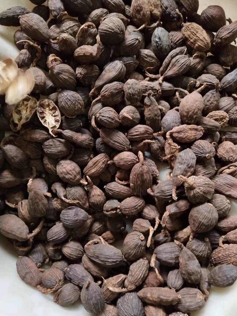 草果，云南草果，香辛料热销品种，有货供应