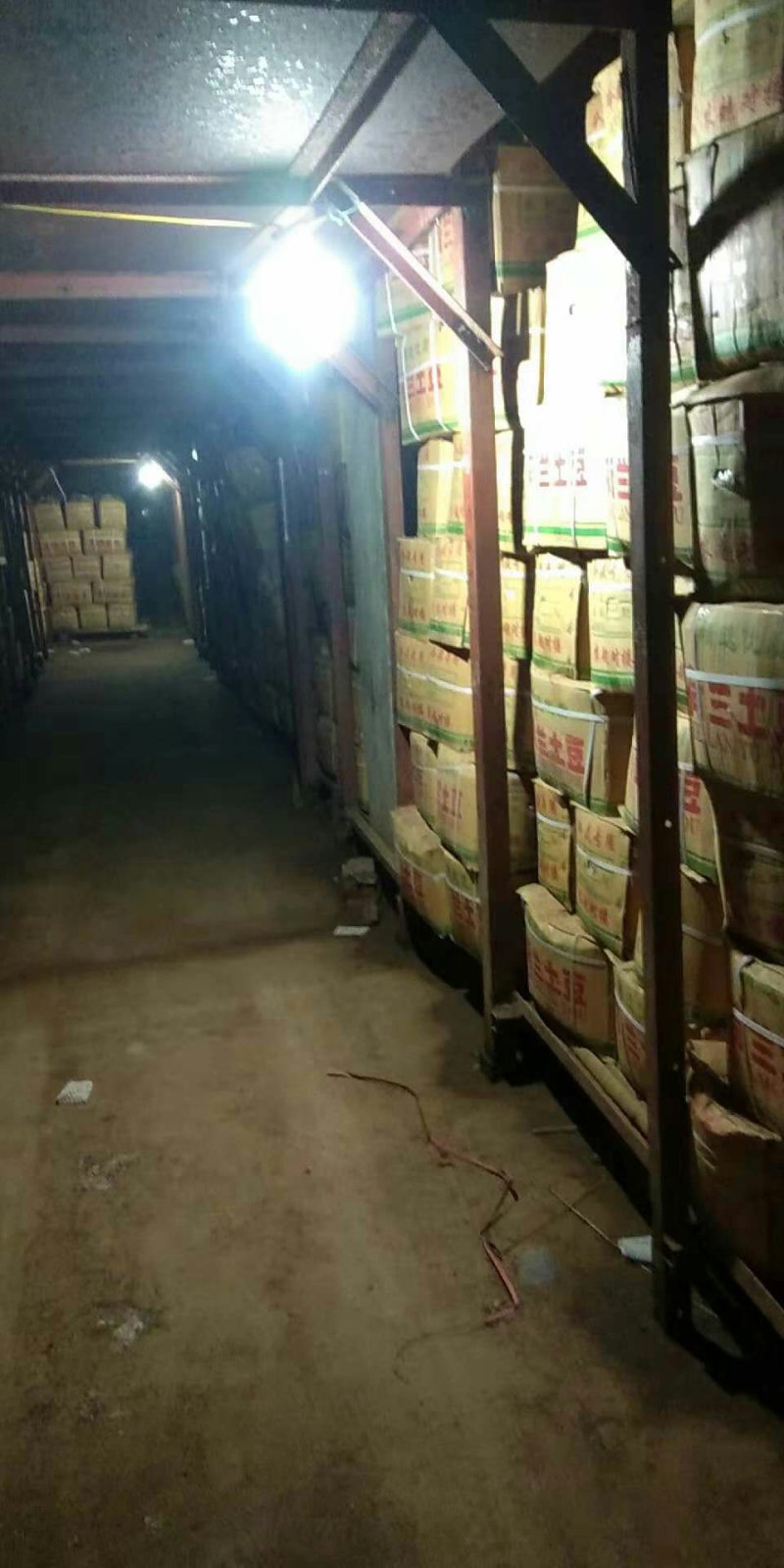荷兰十五土豆大量现货供应价格美丽等你来电