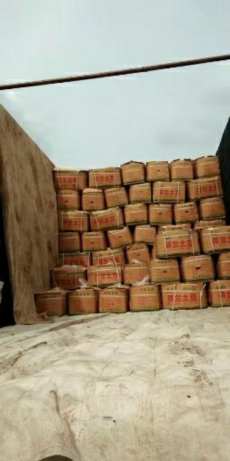 荷兰十五土豆大量现货供应价格美丽等你来电