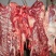 生鲜驴肉批发