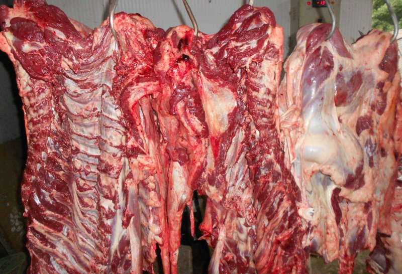 生鲜驴肉批发