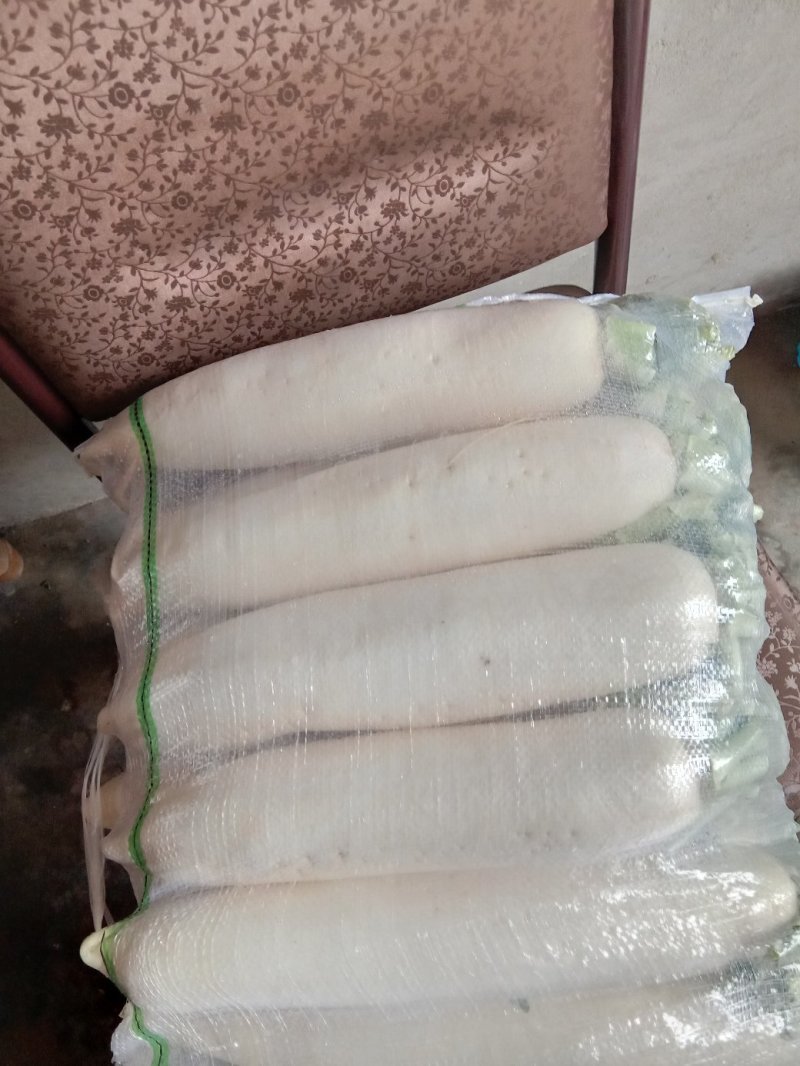 湖北白箩卜，有808的，秀美的，属露地货，量大品质好