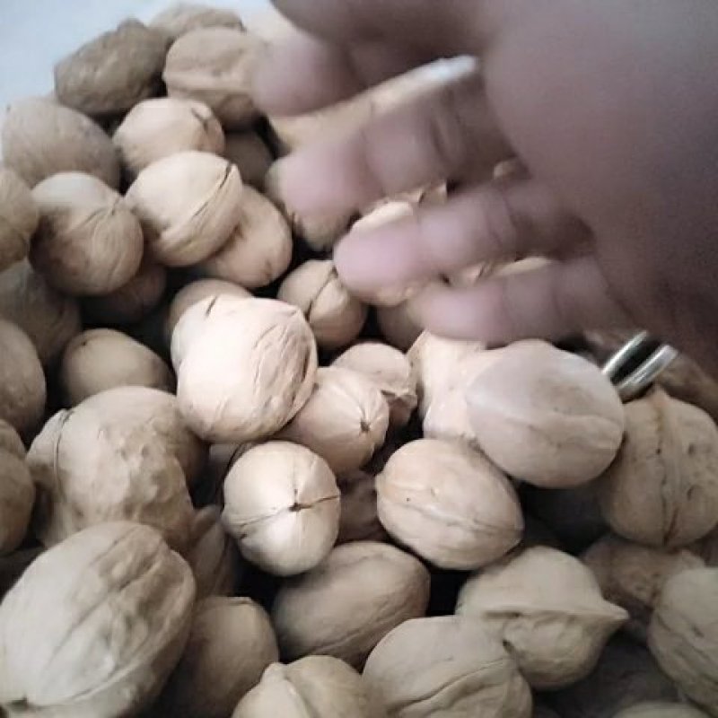 量大的来