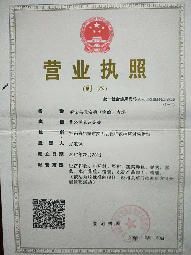 豆油皮