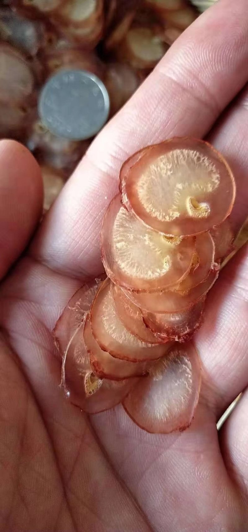 【配种期种鹿】猛鞭片切片男士泡酒用亏损虚100克包邮