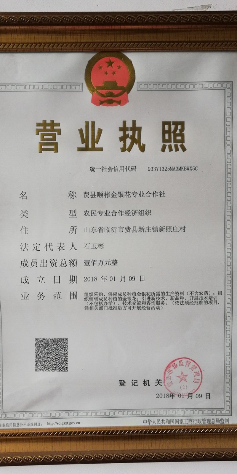 金银花金银花树桩