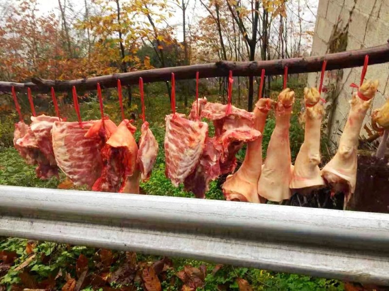 禽畜牧蛋肉