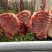 禽畜牧蛋肉