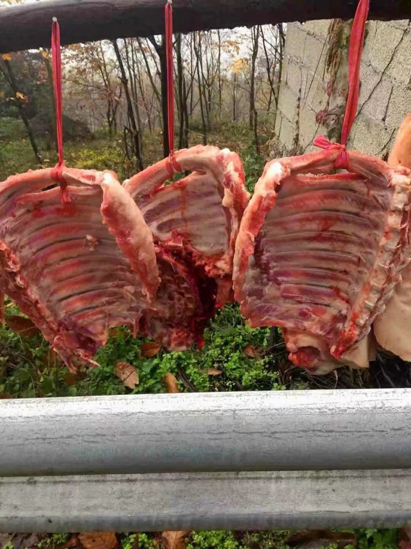 禽畜牧蛋肉
