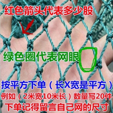 防鸟网养殖网山鸡网养鸡网尼龙网拦鸡围网防鸟网护栏