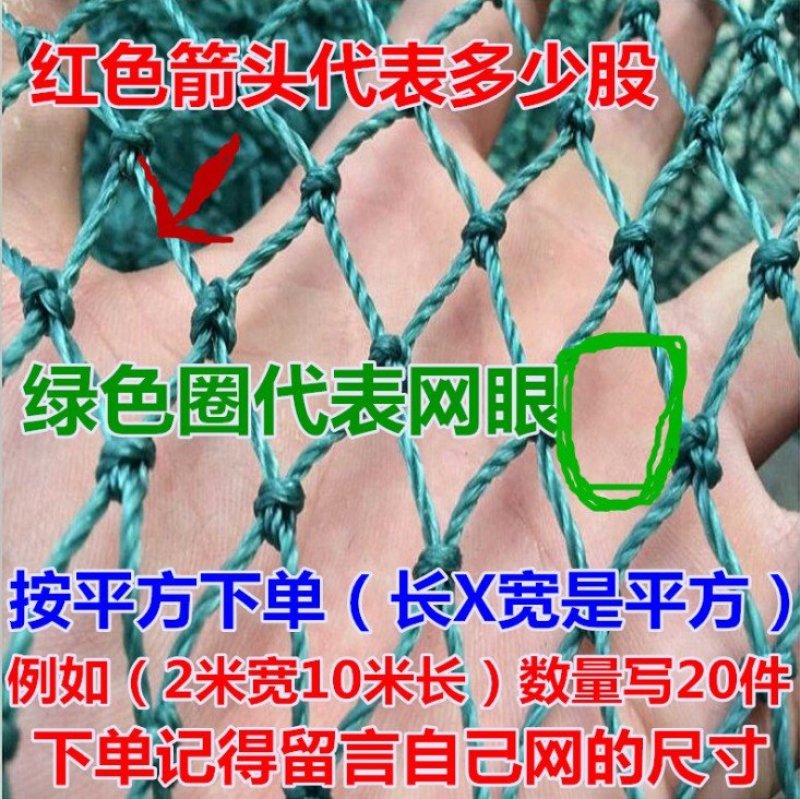 防鸟网养殖网山鸡网养鸡网尼龙网拦鸡围网防鸟网护栏