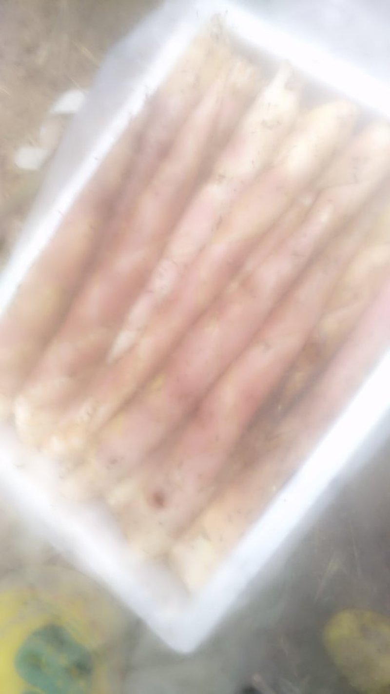 雷竹笋，刚挖的，没有用农药，谷壳笋，