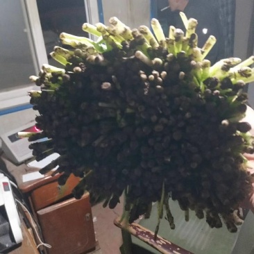 蔬菜