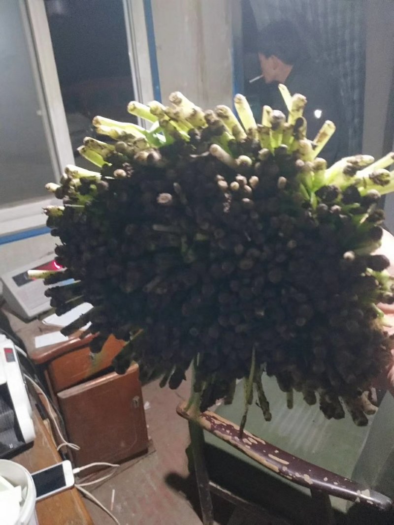 蔬菜