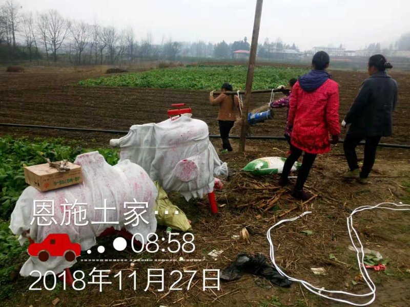 圆柱滴灌管果树、苗木、葡萄、猕猴桃等滴灌，间距可定制！