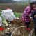 圆柱滴灌管果树、苗木、葡萄、猕猴桃等滴灌，间距可定制！