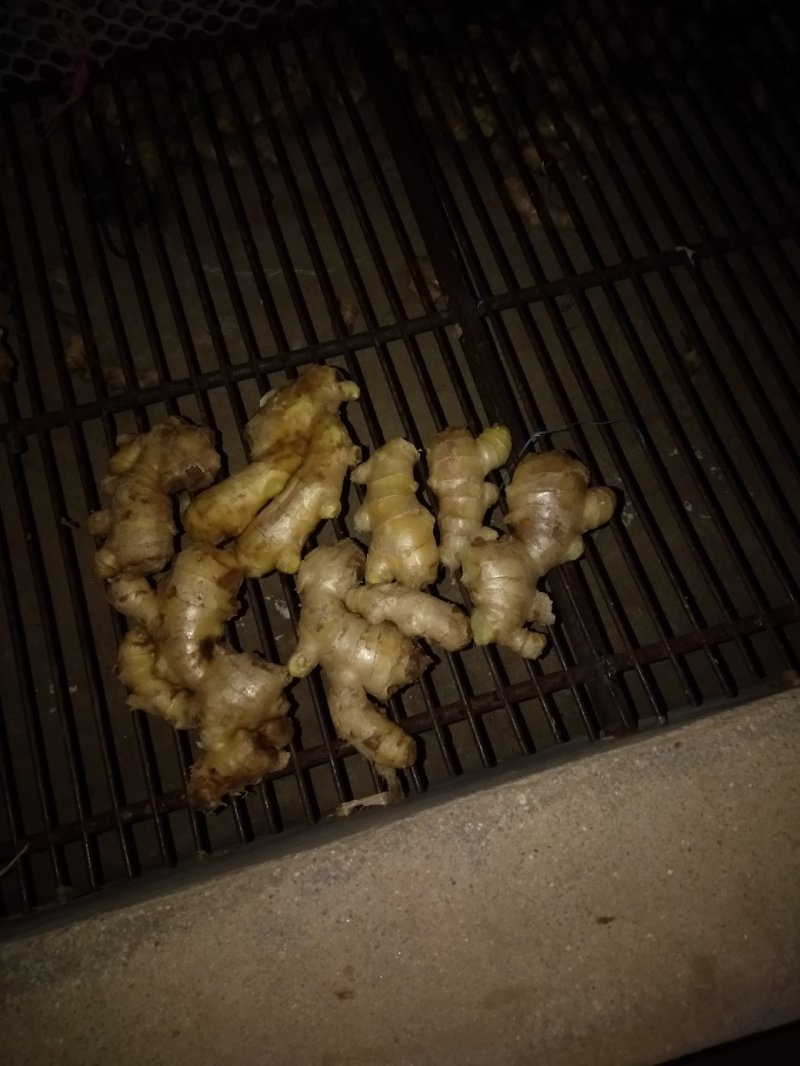 低价出售生姜！！！适合脱水，深加工！！！
