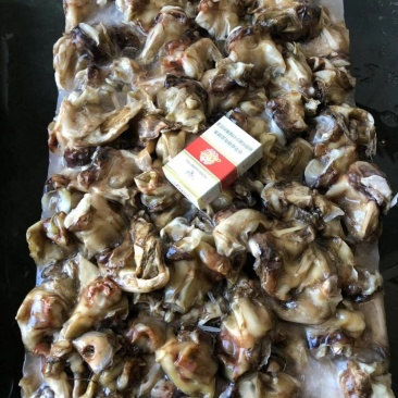 鱿鱼脖子