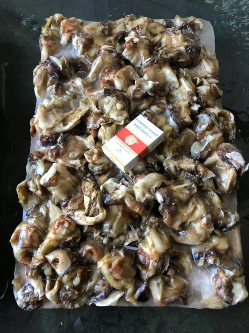 鱿鱼脖子