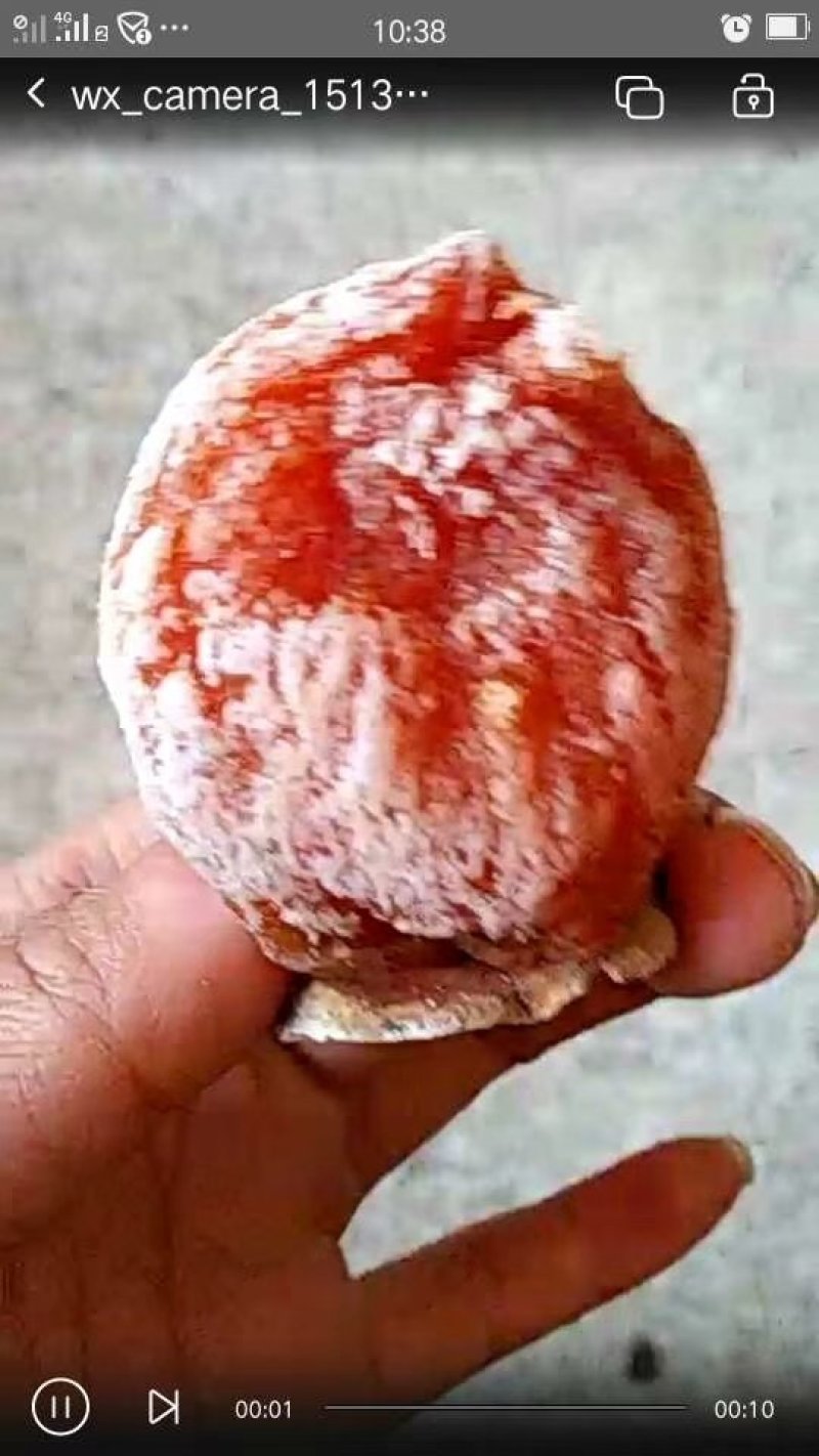 柿饼