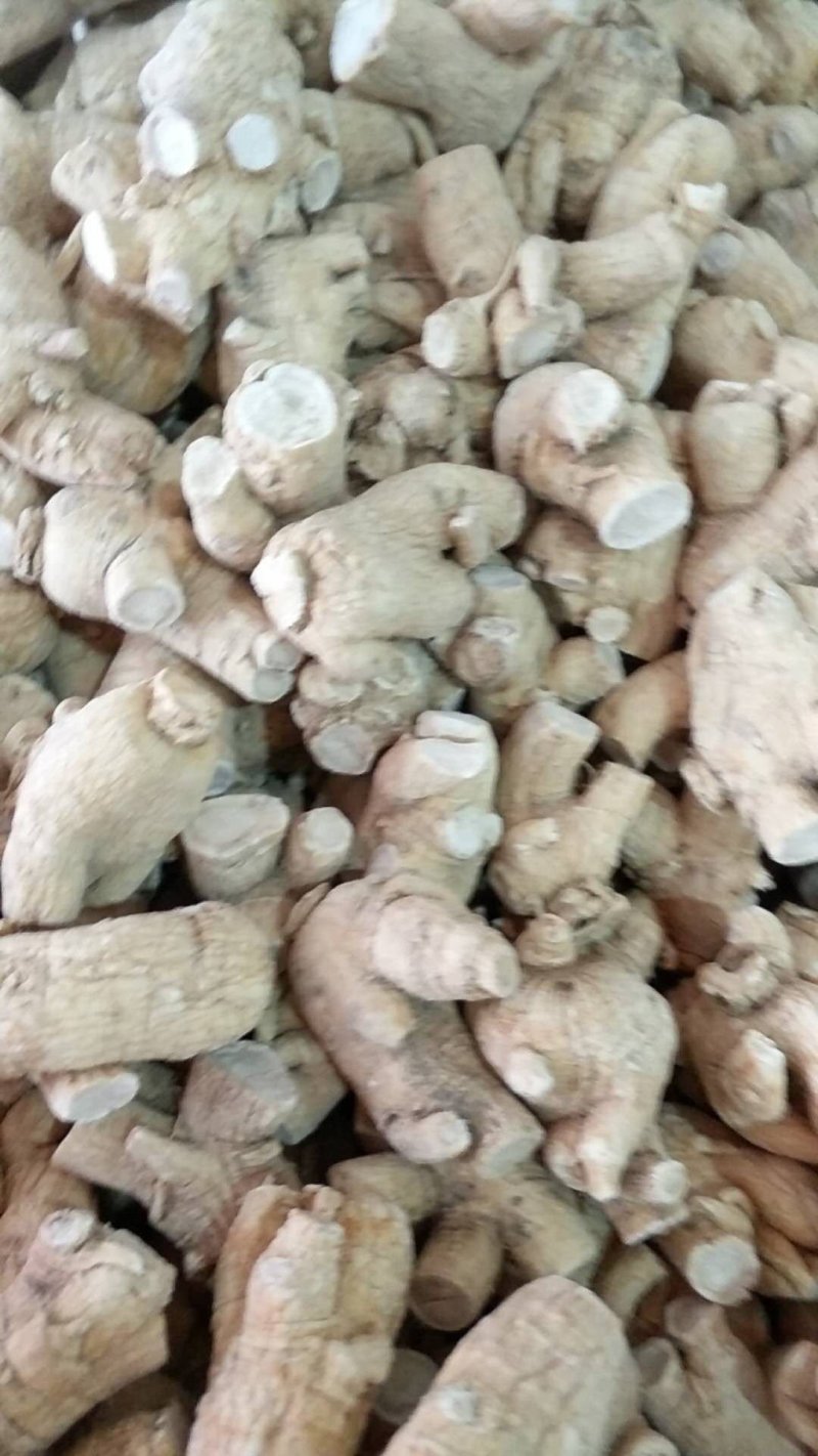 西洋参粒头15克批发各种规格中药材