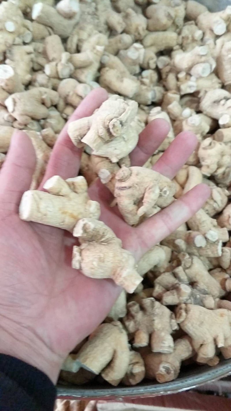 西洋参粒头15克批发各种规格中药材