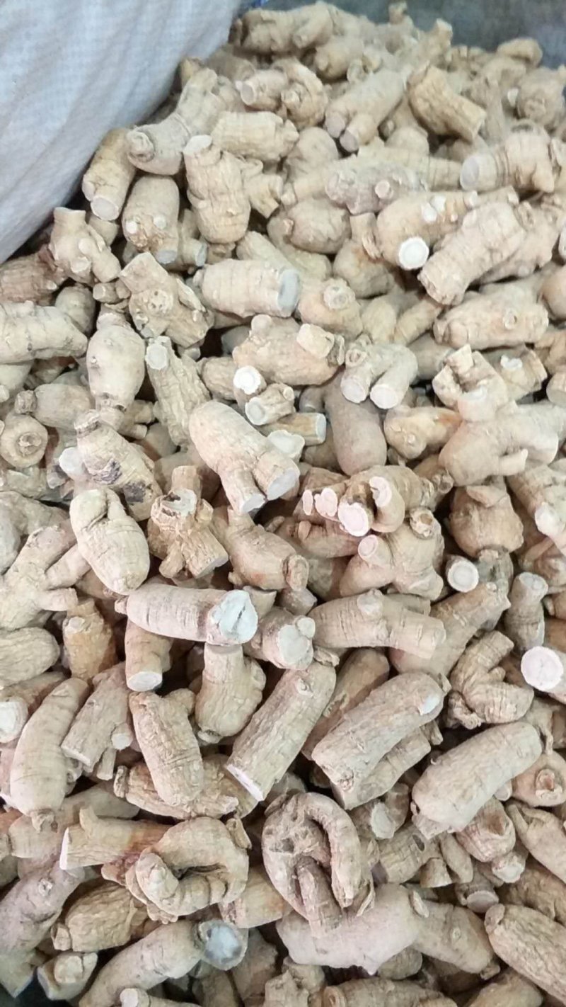 西洋参粒头、小号批发各种规格中药材饮片
