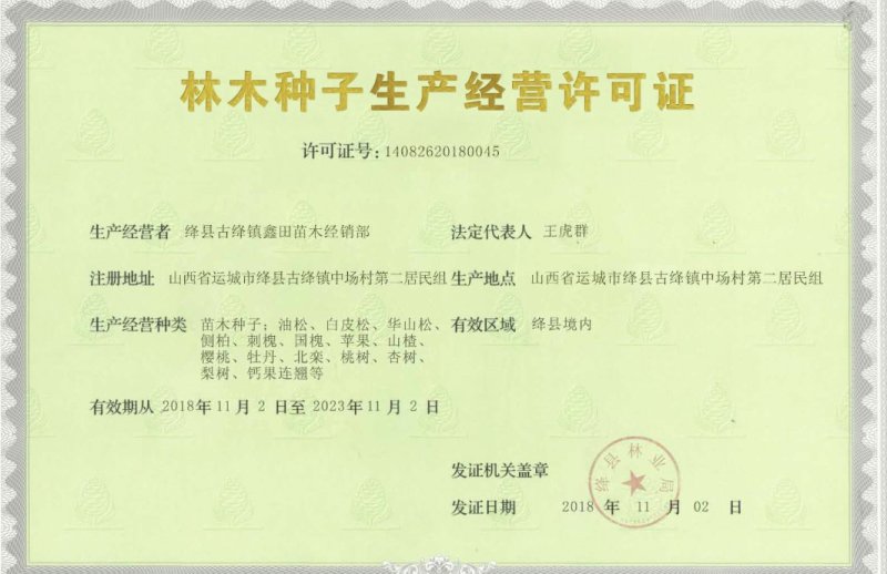 山西脱毒俄罗斯八号樱桃苗车厘子苗包邮保证品种死苗补发