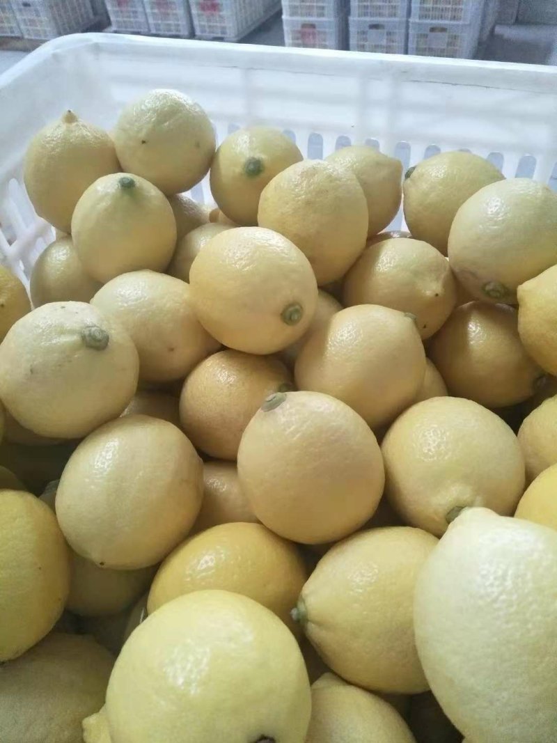 柠檬