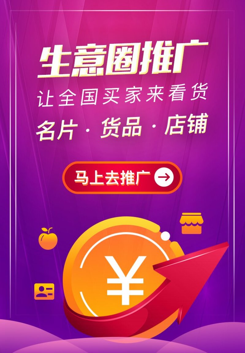 楸树苗
