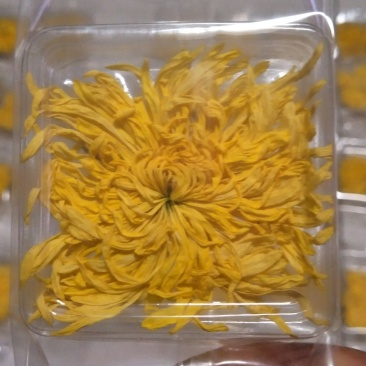 菊花茶