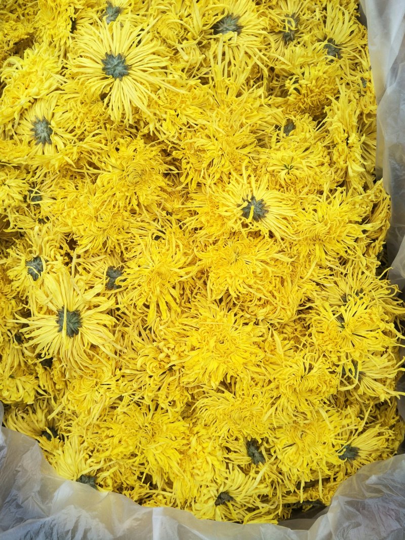 菊花茶