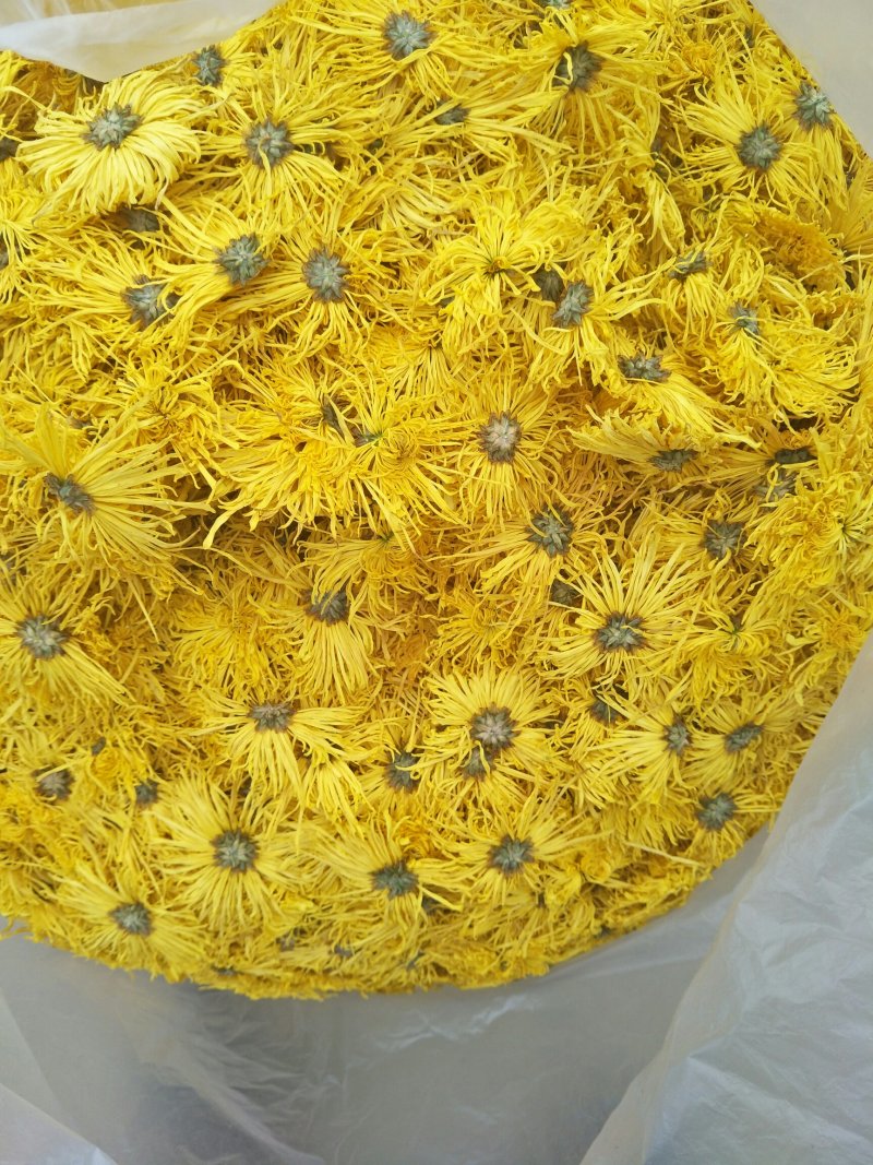 菊花茶