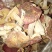 红菇肉质好！价格低廉！营养丰富！是餐桌上的美味佳肴价格8