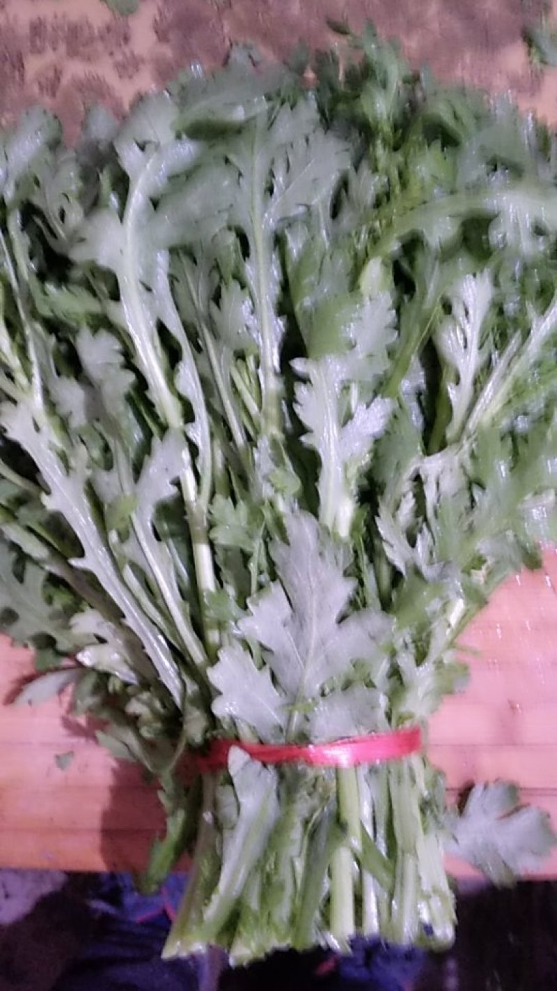 小叶茼蒿