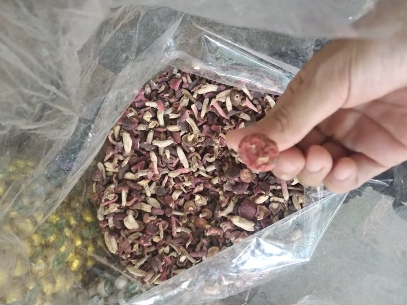 红菇野生小菇丁