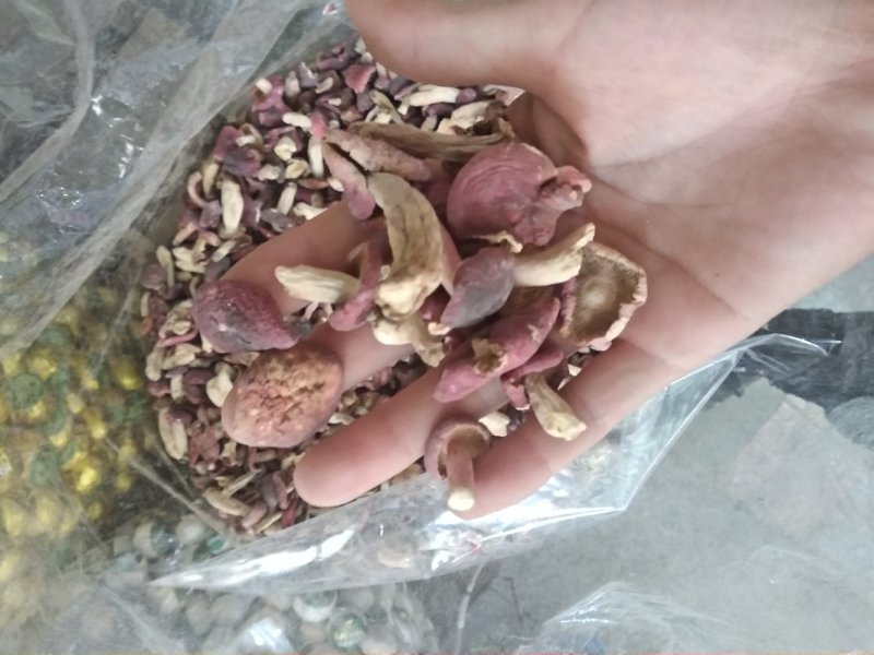 红菇野生小菇丁