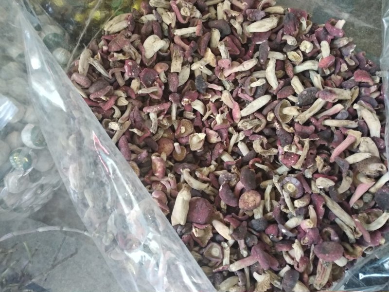 红菇野生小菇丁
