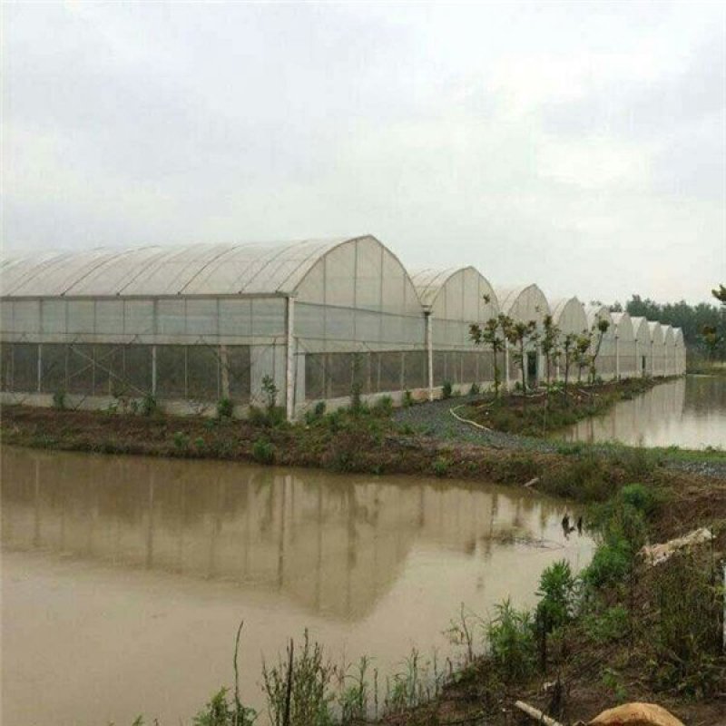 天津大棚管厂家，大棚骨架椭圆管骨架定尺定做