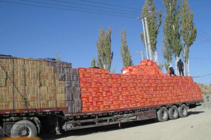 厂家供应新疆红枣若羌灰枣若羌红枣厂家批发大量现货
