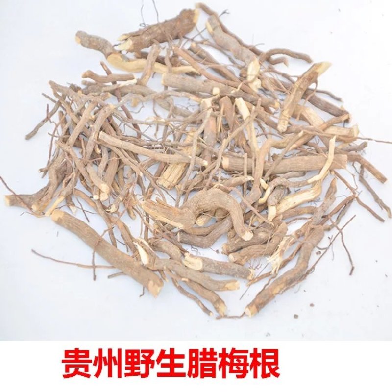 贵州野生腊梅根腊梅花根铁筷子岩马桑黄金茶黄梅根