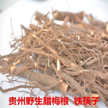 贵州野生腊梅根腊梅花根铁筷子岩马桑黄金茶黄梅根