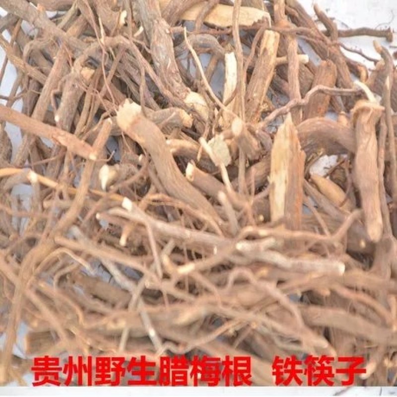 贵州野生腊梅根腊梅花根铁筷子岩马桑黄金茶黄梅根