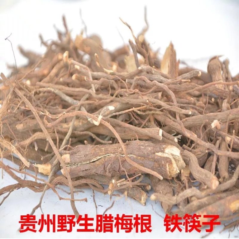 贵州野生腊梅根腊梅花根铁筷子岩马桑黄金茶黄梅根