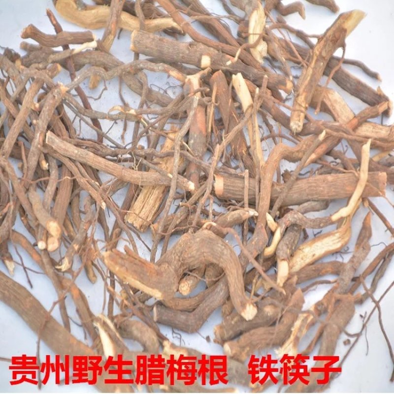 贵州野生腊梅根腊梅花根铁筷子岩马桑黄金茶黄梅根