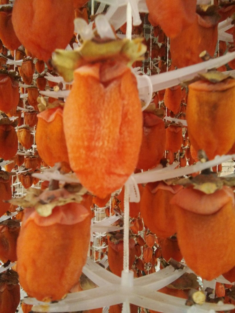 优质富平柿饼。职业农民产品。