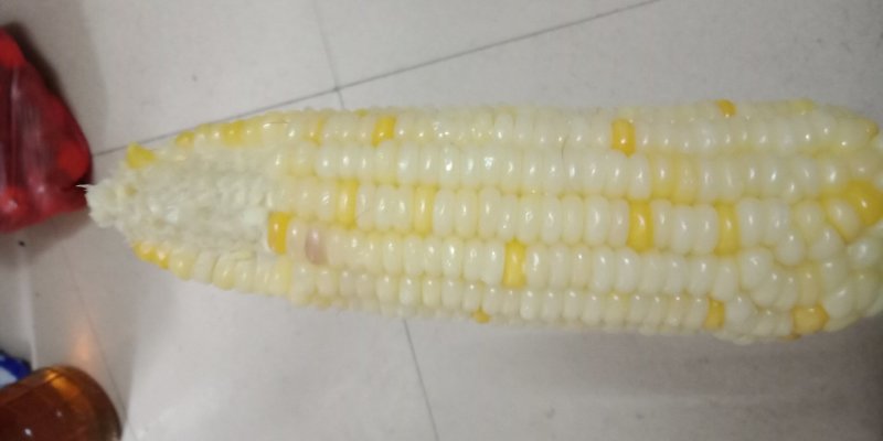 玉米
