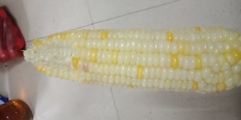 玉米